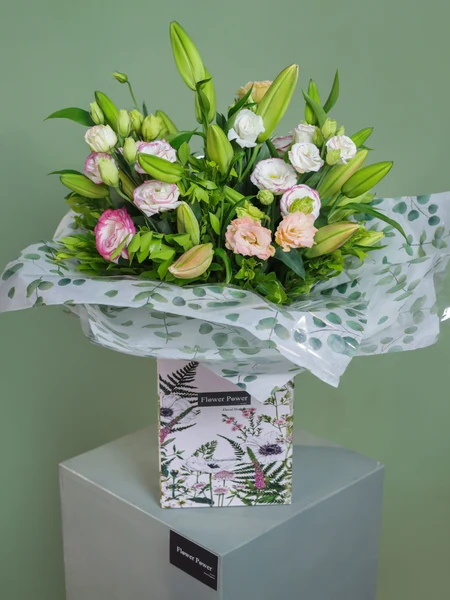 Pastel Lilium